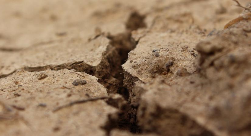 Szicíliában akkora az aszály, hogy már sótalanított tengervízzel akarnak locsolni