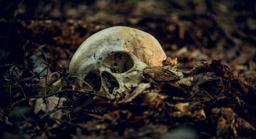 Hátborzongató: megfőzött emberi maradványok? Koponyákat találtak a 6-os útnál