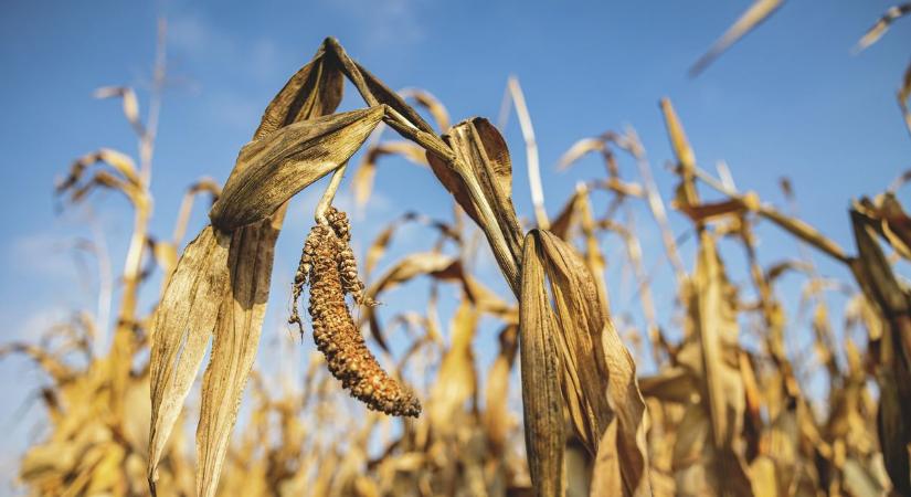 Összeírják az egyéni gazdaságokat, az adatokat az agrárium javára haszosítják