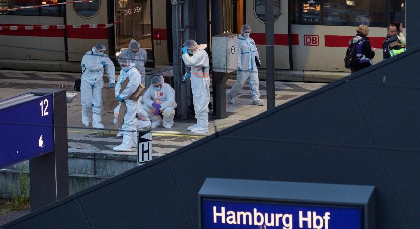 Támadás előtt engedték ki a pszichiátriai klinikáról a hamburgi késelőt