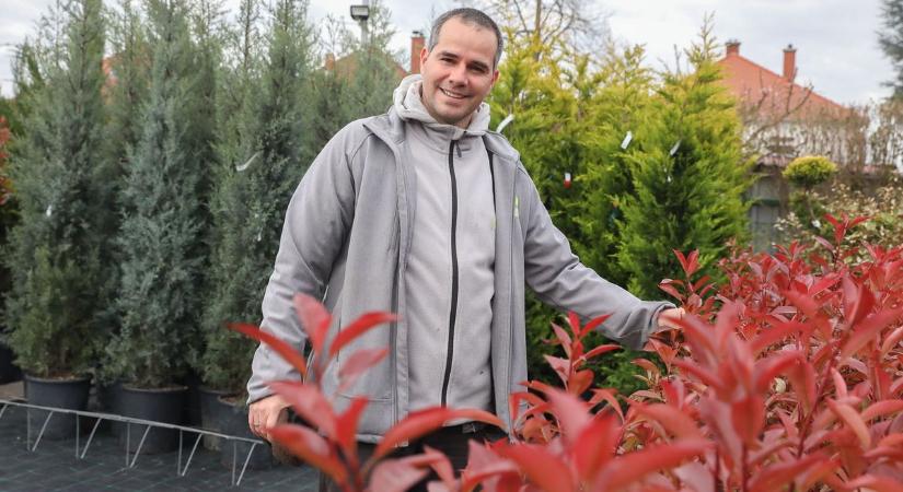 Hamarosan rajzik a tuják ellensége: ezt tegyük a szakértő szerint