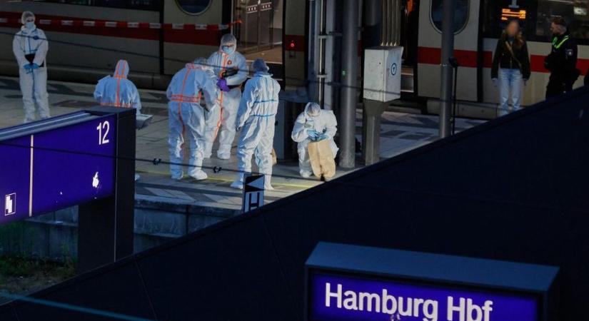 „Meglepetés”: a német hatóságok előtt nem volt ismeretlen a hamburgi késelő