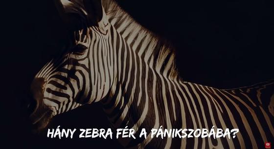 „A császár új ruhája csíkos lesz nemsokára” – Szókimondó dallal kritizálják a NER-t