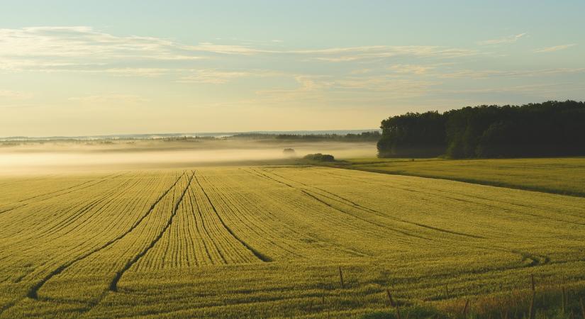 Kihívásokat tartogat az idei év az agrárium számára