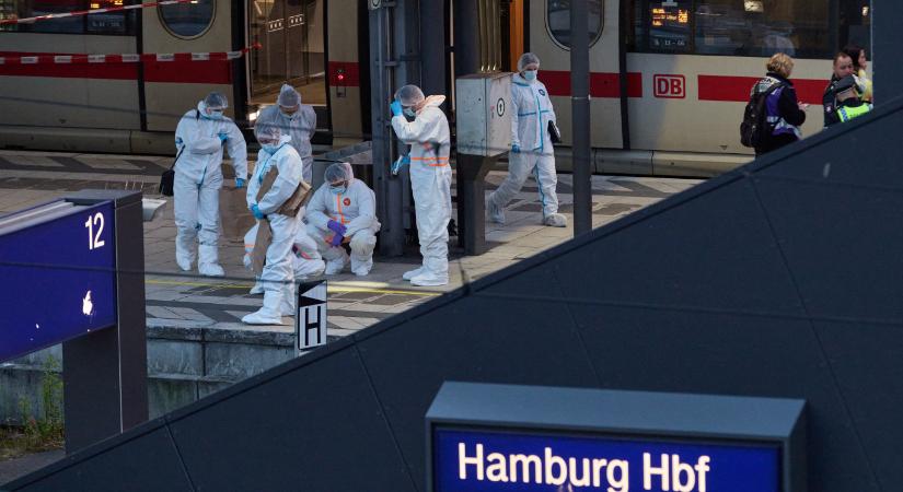Egy szír és egy csecsen fékezte meg a hamburgi késelőt
