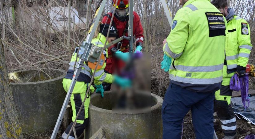 Végrehajtás alatt lévő ingatlanokat szerzett meg ügyvédek segítségével egy banda, az egyik strómant megölték és kútba dobták