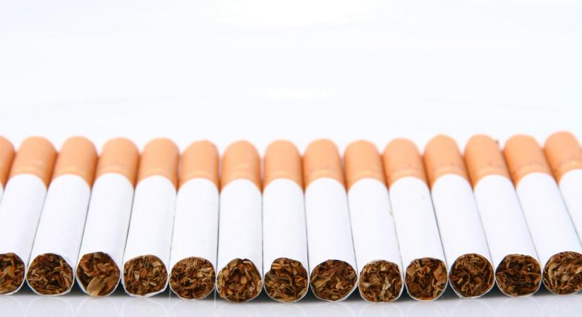 NAV: több mint 460 liter illegális pálinkát és több száz doboz cigarettát találtak egy háznál