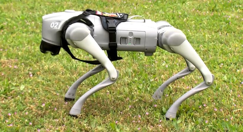 Kutyaszív helyett chip és vas? – Robotkutyával tanítaná a külvárosi önkormányzat a felelős állattartást