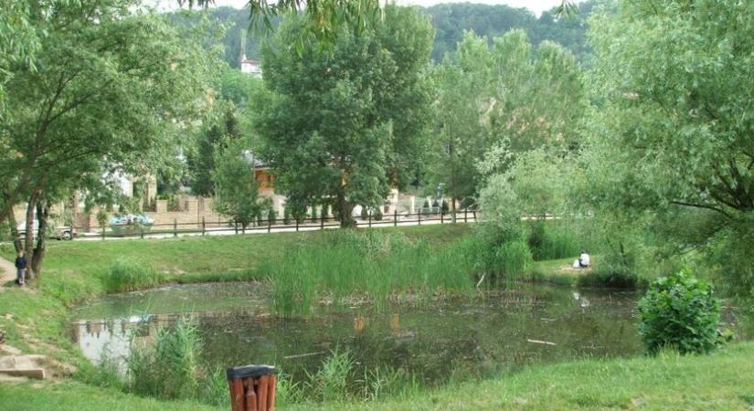 Az esővíz megtartásával javítanák a mikroklímát a Gőtés-tónál