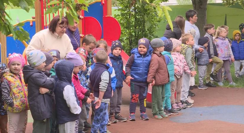 Erdők, mezők és a vizek élőlényeit jelenítették meg