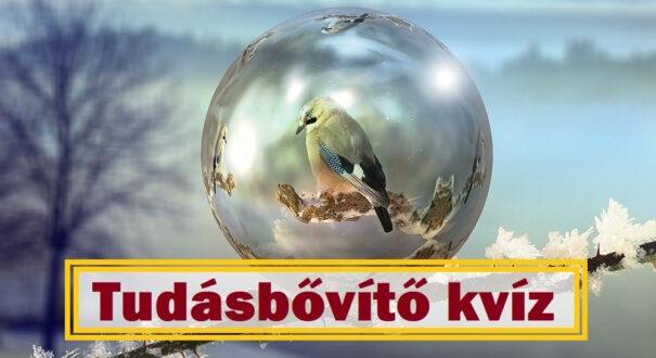 Tudásbővítő kvíz: Le a kalappal, ha jól sikerül (813)