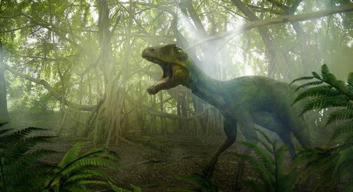 Beleborzongtak a tudósok ebbe a felfedezésbe a dinoszauruszokról