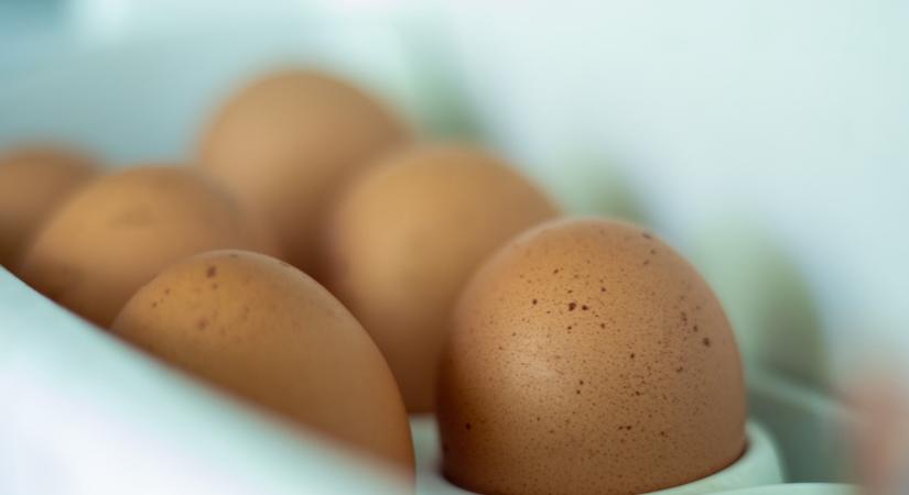 Hatalmas egészségügyi kockázatnak teszed ki magad, ha így tárolod a tojásokat