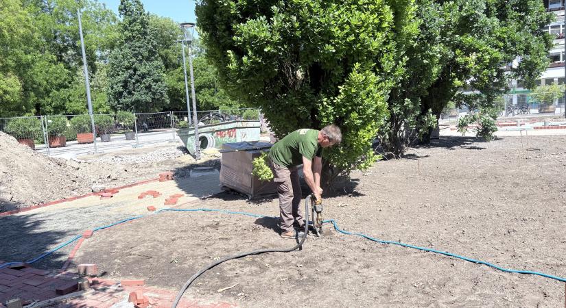 A növények számára készítik elő a talajt a belvárosi parképítésen