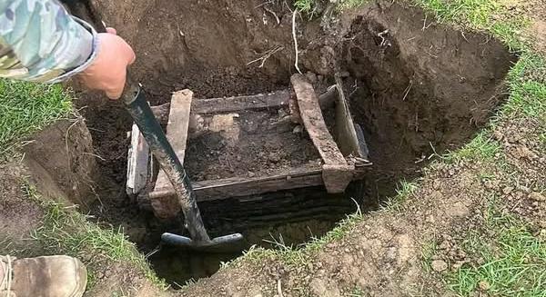Világháborús magyar katonai dokumentumok kerültek elő egy faládából, az osztrák állatkertből