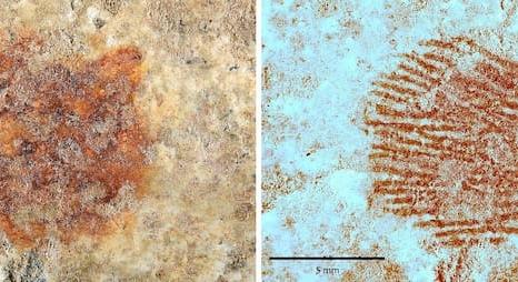 Világra szóló felfedezés a 43 ezer éves ujjlenyomat egy neandervölgyi embertől