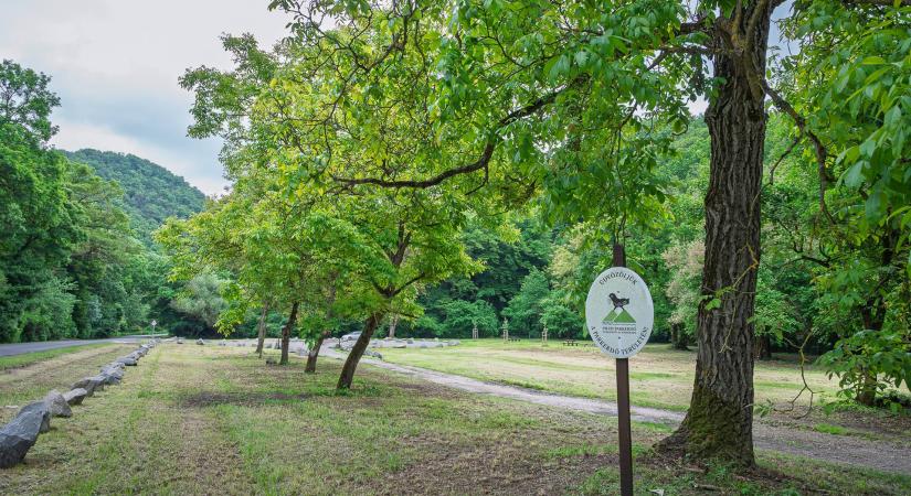 Megújult a barátkúti pihenőhely a pilisi parkerdőben