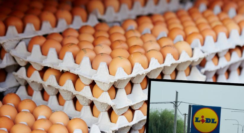 Penészes, férges, bűzlő tojásokat találtak az ismert szlovákiai áruházláncban