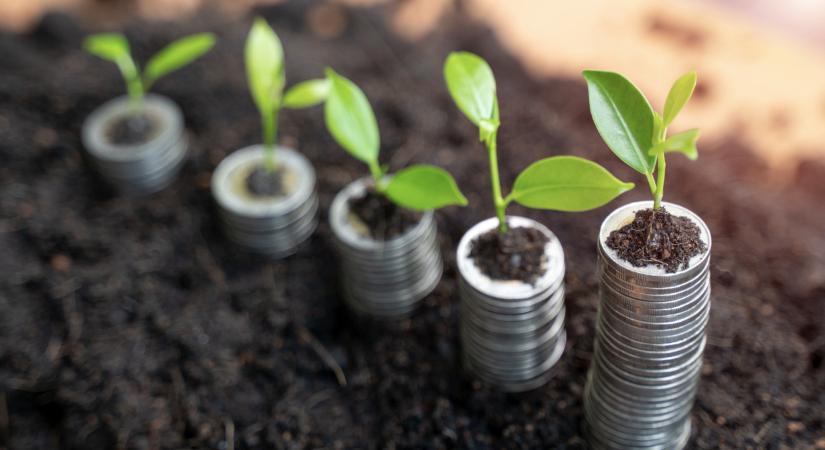 Változnak az agrártámogatások, erről minden gazdának tudnia kell