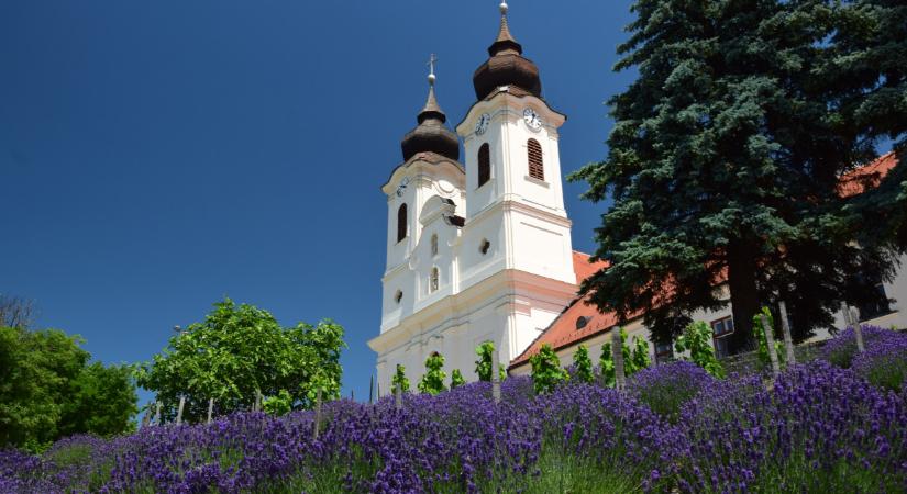 Titkos kert a Balatonnál, amit egyszer látnod kell: nemcsak meseszép, de gyógyító is  Videó
