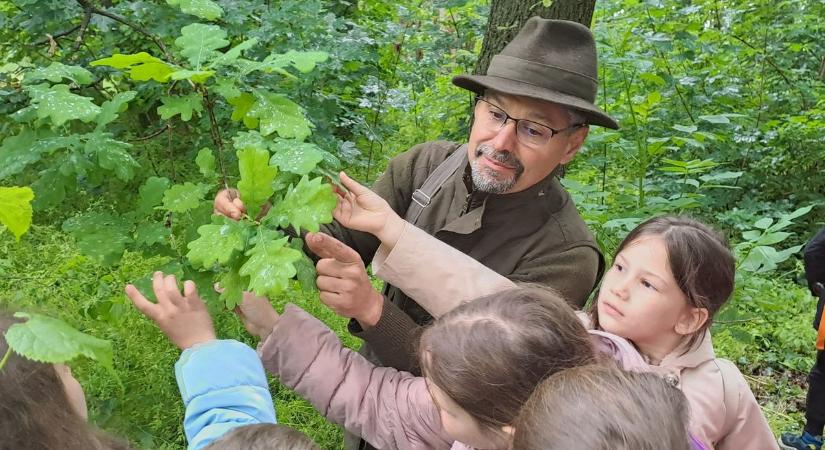 Kis felfedezők a természet nyomában: nem lehet mindent a tankönyvekből megtanulni