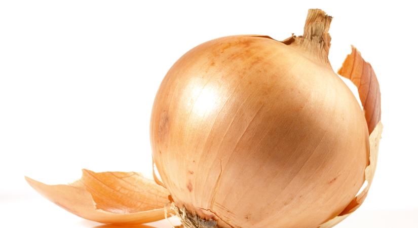Eddig a szemétbe dobtuk, pedig kincset ér: a hagymahéjból készült por receptjét Gordon Ramsay is elkérné