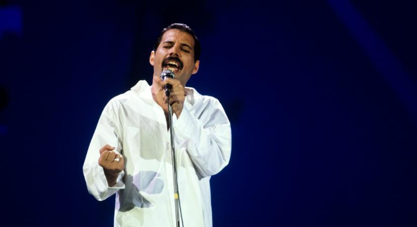 Már biztos! Megjött a DNS-teszt, Freddie Mercury eltitkolt gyerekéről van szó