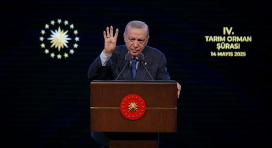 Új alkotmányt írat Erdogan, hogy hatalomban maradhasson