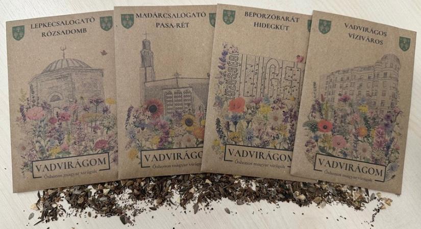 Vadvirágos Buda – Megérkeztek kerületünk városrész-specifikus magkeverékei