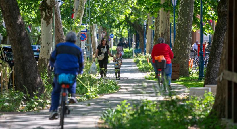 Zöldbe borult a város szíve, százmilliókból újult meg az ikonikus főutca – galériával
