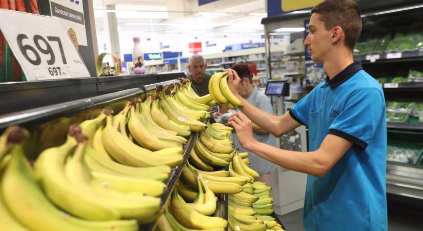 Diákmunka: többet kereshet egy diák, mint egy pályakezdő – meglepő nyári órabérekre lehet számítani