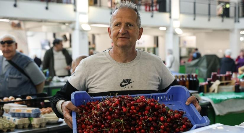 Ahol nem fagyott el a cseresznye, ott kétezer forint kilónkénti árral nyitott a szezon
