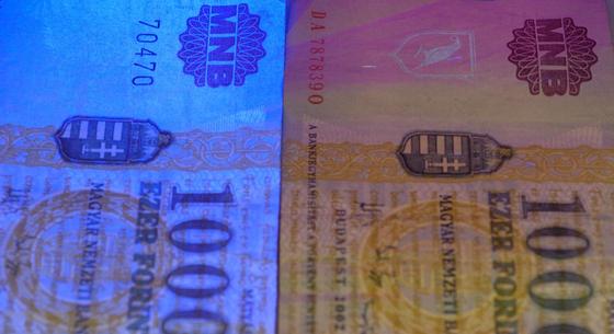 Euróban kapja fizetését egy állami cégvezető
