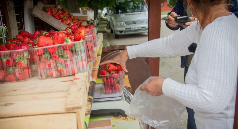 Átverhetik az út széli gyümölcsárusok – Erre figyeljen!