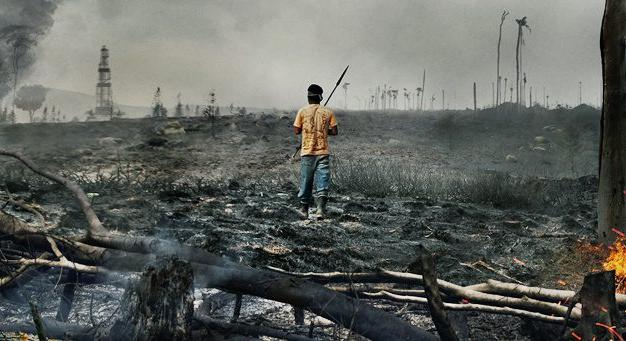 A 10 legsokkolóbb környezetvédelmi dokumentumfilm, amit látnod kell – Ha tenni akarsz a környezetért
