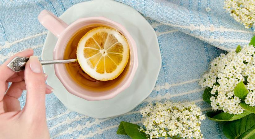 Nem csak szörpnek jó a bodza! 5 meglepő dolog, amire használhatod