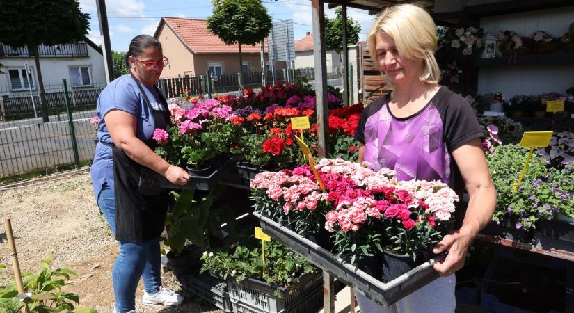 Ennyibe kerül, hogy szép legyen az erkélyed