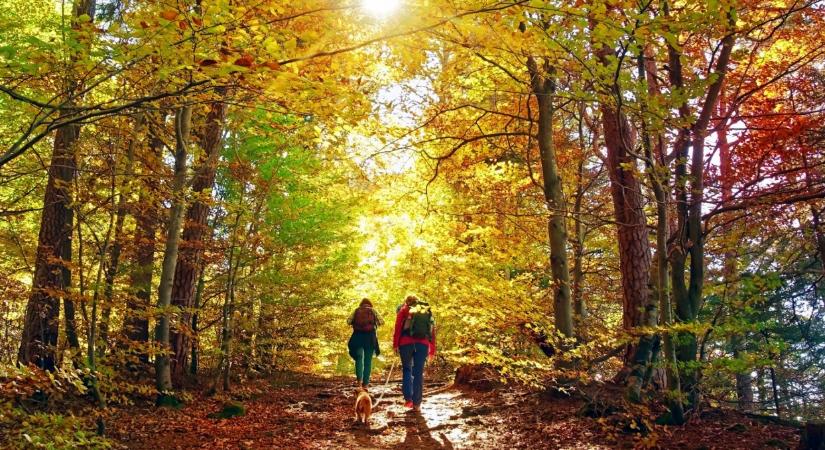 Magyarországon is útjára indult a Columbia Hike Society programja
