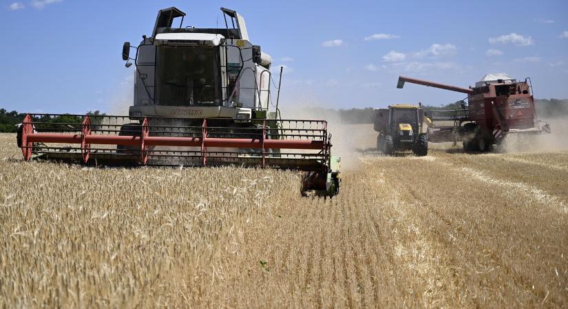 Az agrártermékek drágulása miatt emelkedhetnek az élelmiszerárak is