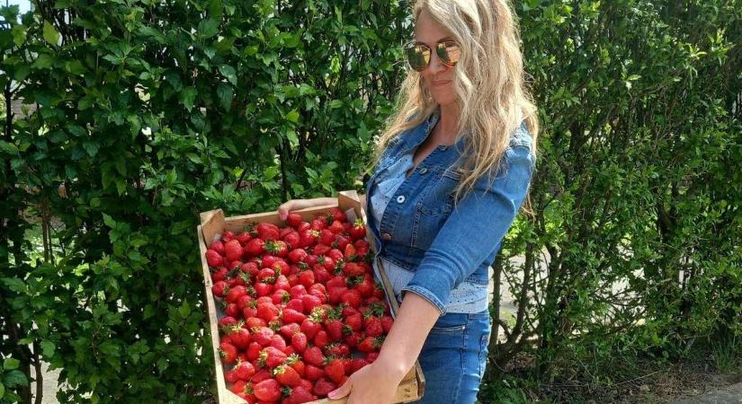 Már az eper sem a régi – mutatjuk, hogy vernek át az útszéli árusok