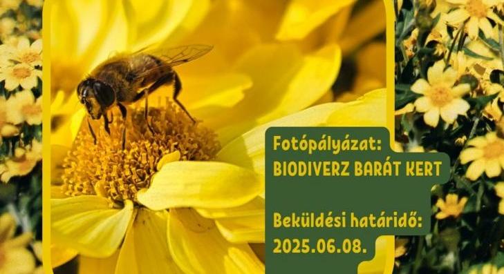 Fotópályázatot hirdetnek Gyöngyöshalászon 