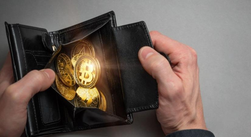 Teljes kontroll, kulcskezelés nélkül – bemutatkozik a Coinbase CDP Wallets