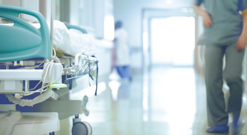 Negyedik áldozatát szedte idén Kambodzsában a madárinfluenza