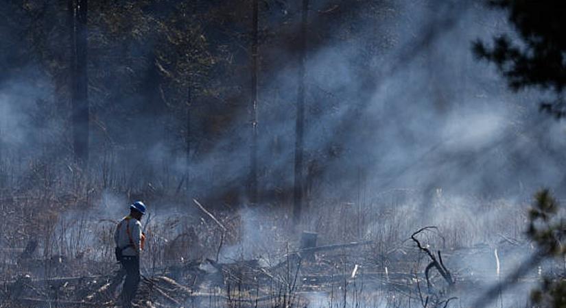 163 helyen ég az erdő Kanadában, szükségállapotot hirdettek