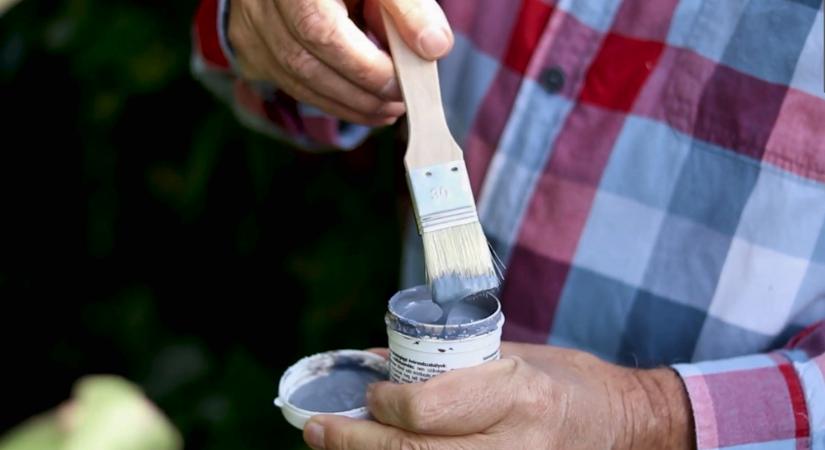 Metszés után ne hagyd nyitva a kaput! – Milyen sebkezelőt használjunk?