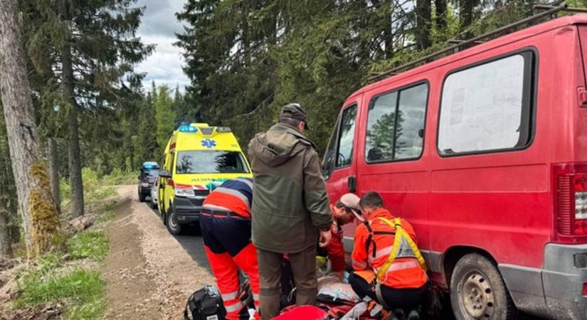 Vezetés közben lett rosszul a sofőr, kis híján szakadékba zuhant egy munkásokkal teli furgon