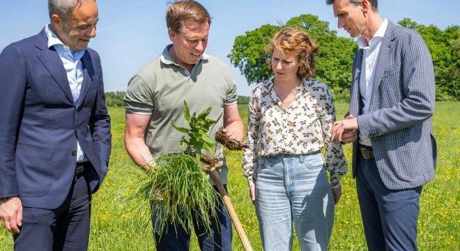 Talajmegújító kísérleti mezőgazdasági programot indít a FrieslandCampina, a Lidl és a ReGeNL