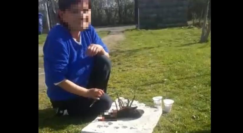 Fekete mágia keretében ölte meg kiskutyáját egy nő, élő adásban közvetítette Facebookon