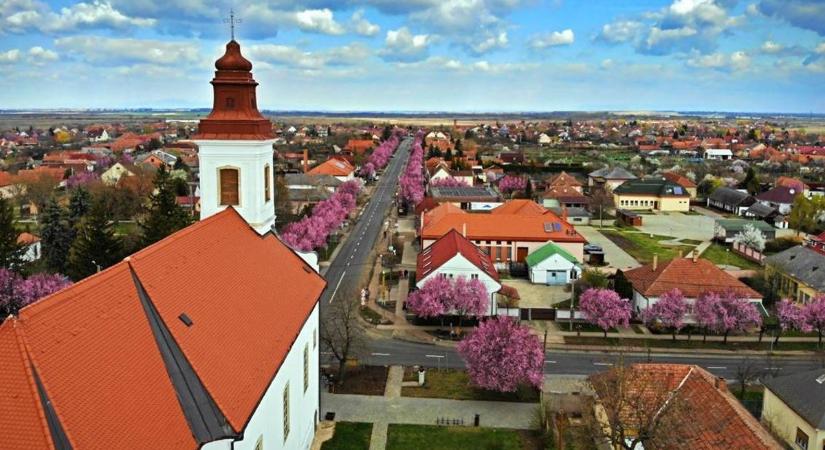 Kilátó, nyaralóhajók, hallépcső: Kisköre tökéletes célpont a csendes, természetközeli kikapcsolódásra