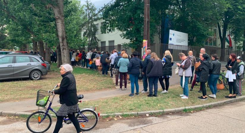 Kígyózott a sor az ingyenes virágokért Debrecenben